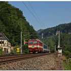 Mit 50 km/h das Elbtal hinauf