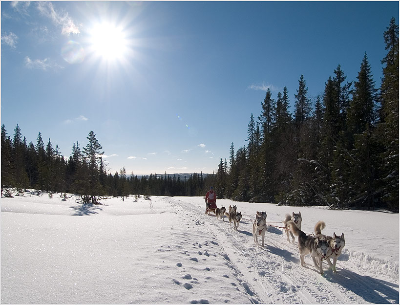 Mit 8HS durch die Winterlandschaft