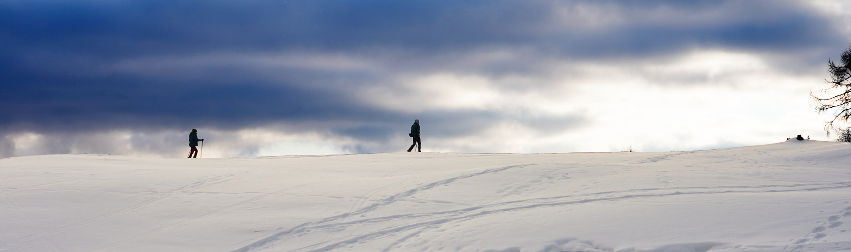 Mit Abstand im Schnee