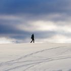 Mit Abstand im Schnee