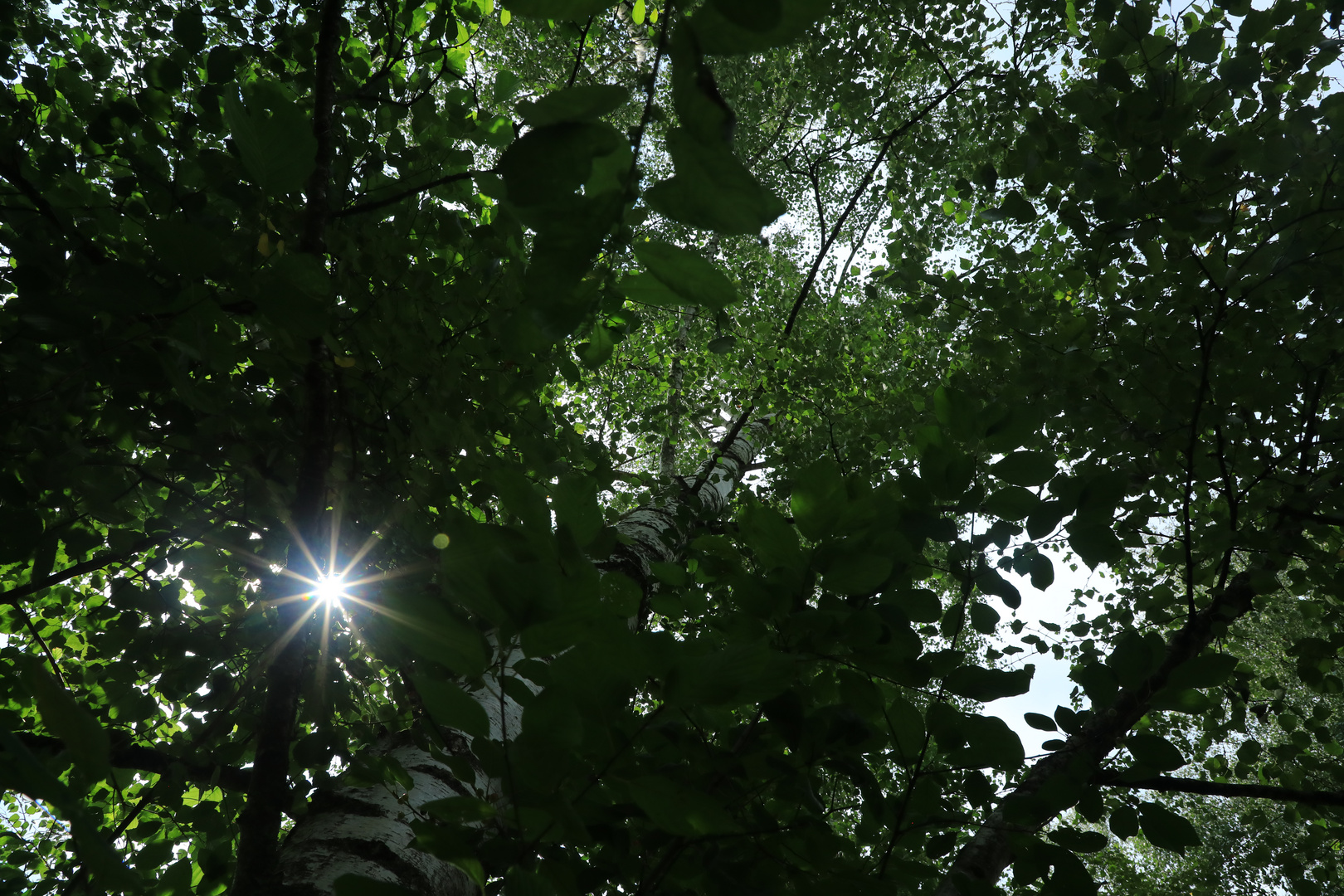 Mit achtsamen Blick durchs Ried