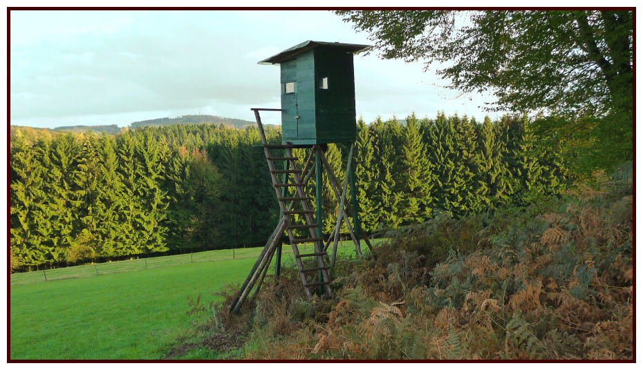 Mit Anstand und Abstand einen Hochstand fotografiert