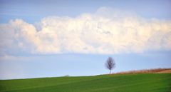 mit Aussicht auf die Reichenau 1