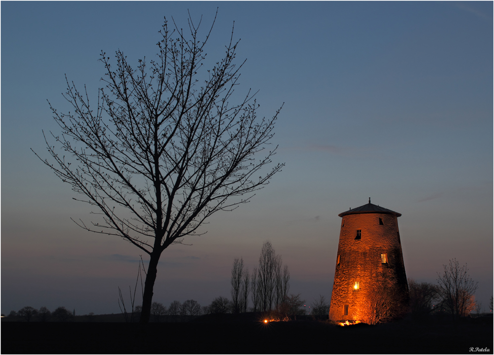 Mit Baum