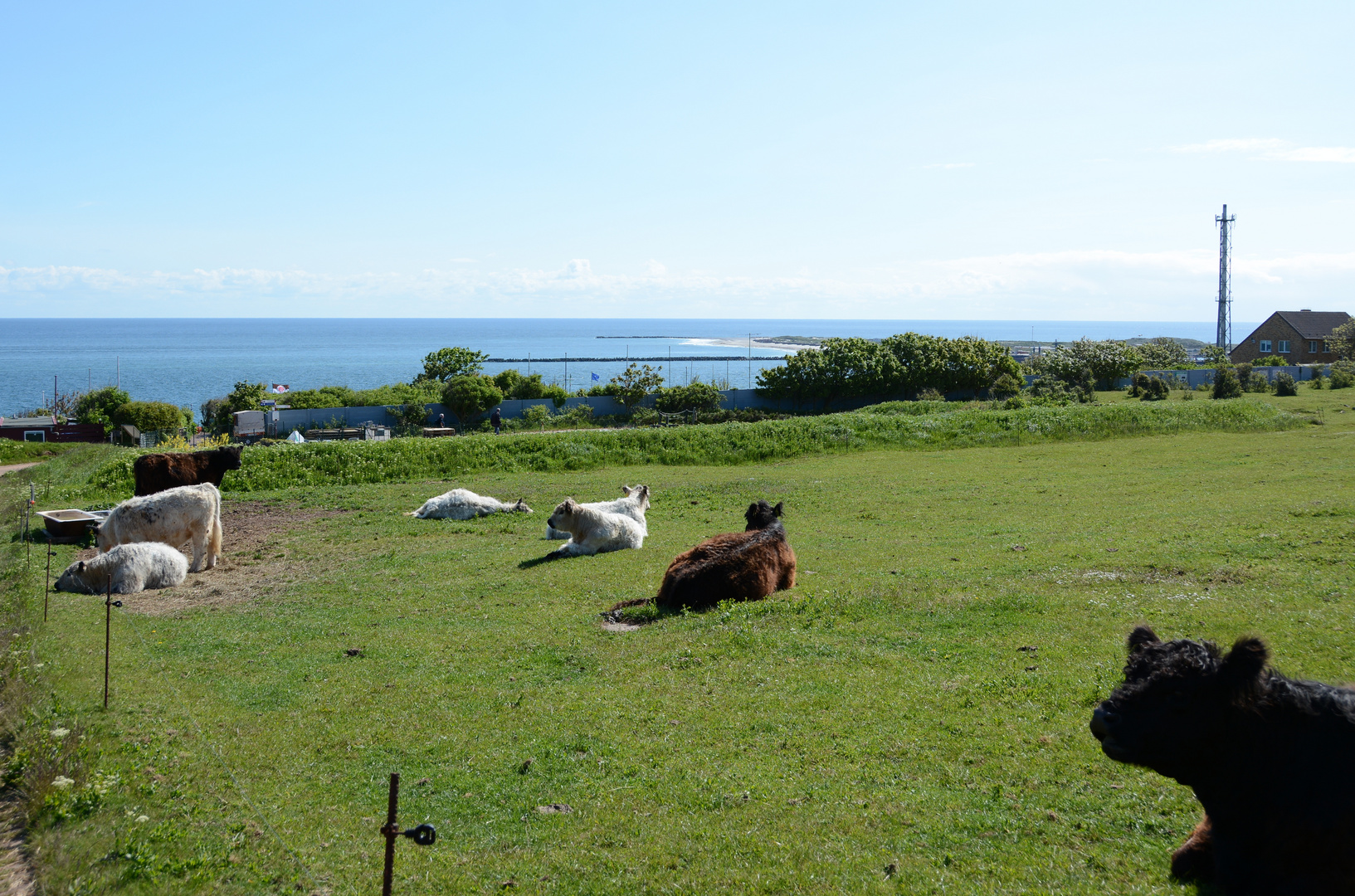 mit Blick auf die Düne