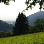 Mit Blick auf die Rheinebene