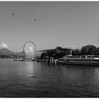 Mit Blick auf die Rigi