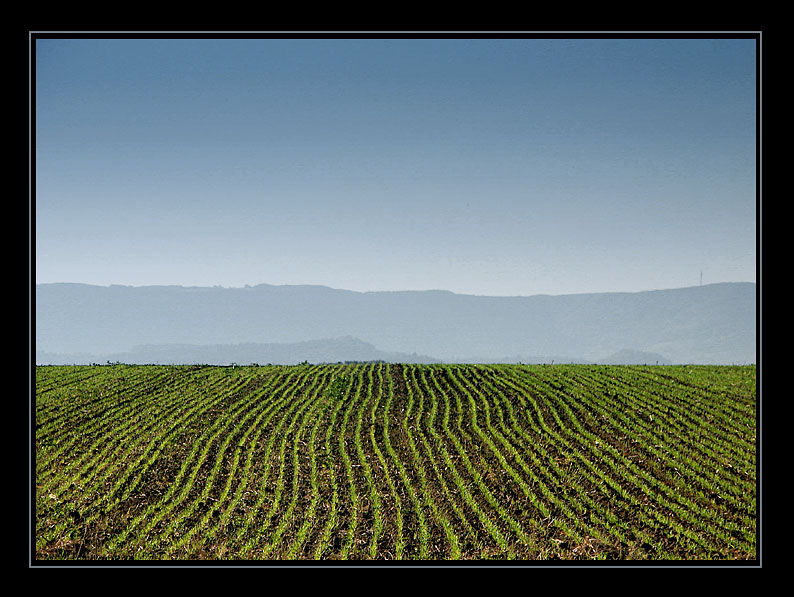 mit blick auf die schwäbische alb... II