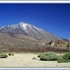 Mit Blick auf "El Teide"