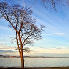 mit Blick auf Meersburg