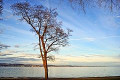 mit Blick auf Meersburg