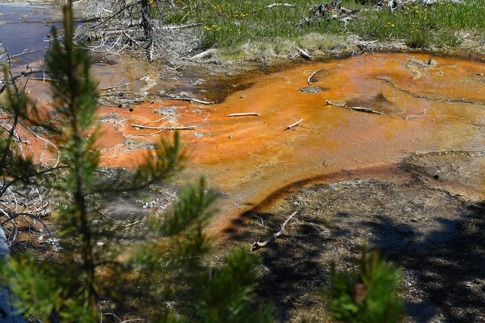 Mit Blick aus dem Wald                               DSC_4006