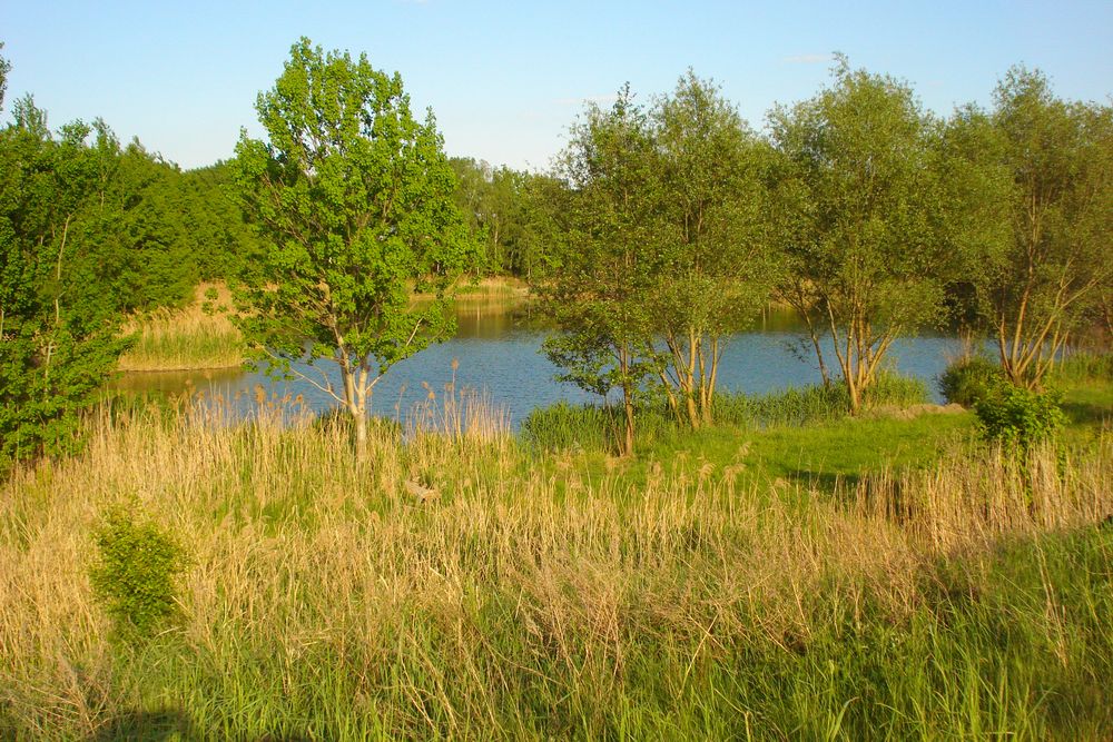 Mit Blick von oben