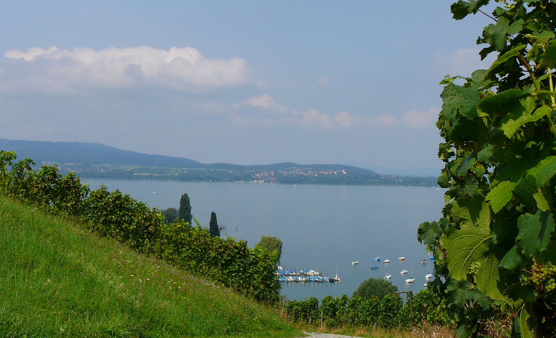 ...mit Blick zum Bodensee