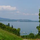 ...mit Blick zum Bodensee