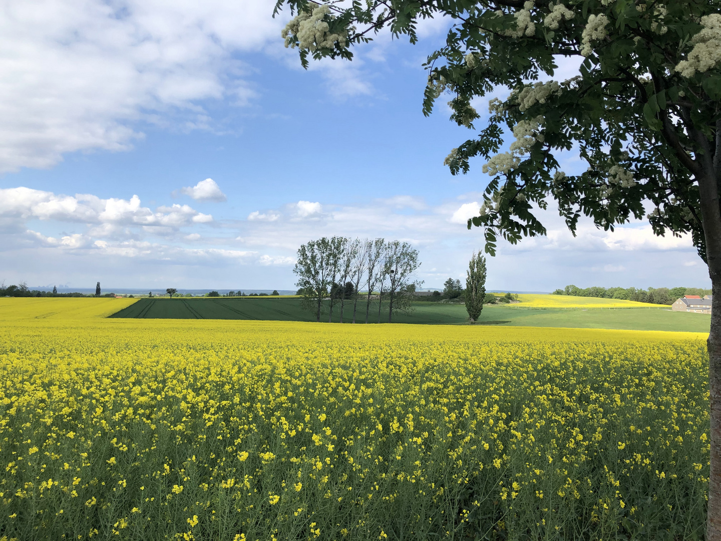 Mit Blick zum Kraftwerk Boxberg... 