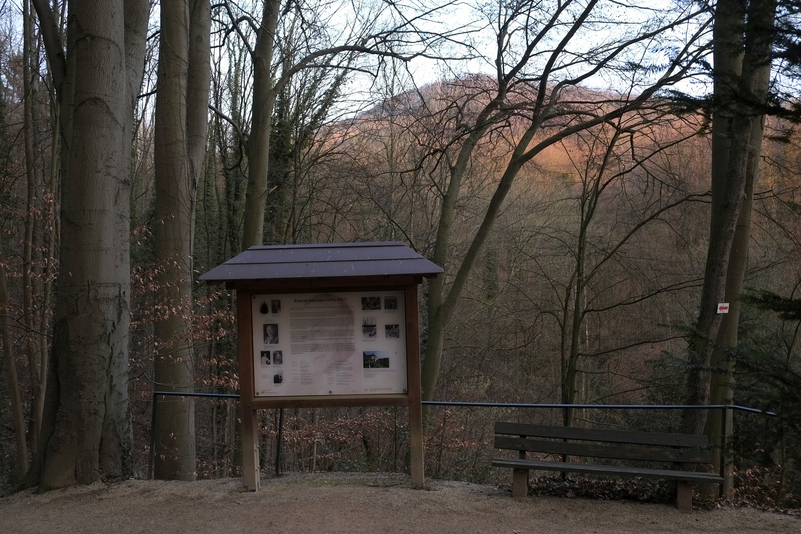 mit Blick zur Löwenburg