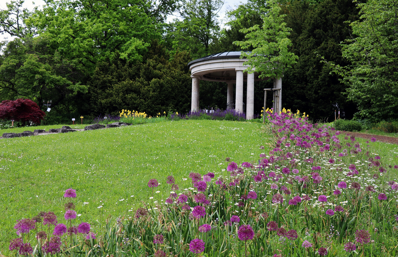 mit Blumen gesäumt