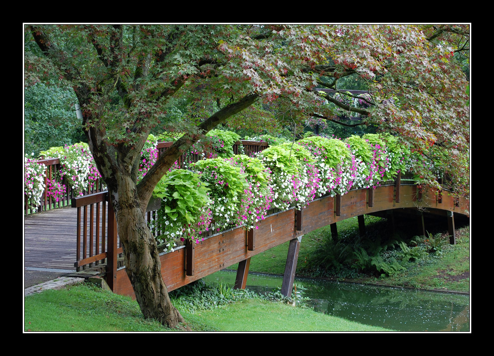 Mit Blumen gesäumte Brücke im Stadtgarten Karlsruhe