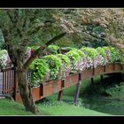 Mit Blumen gesäumte Brücke im Stadtgarten Karlsruhe