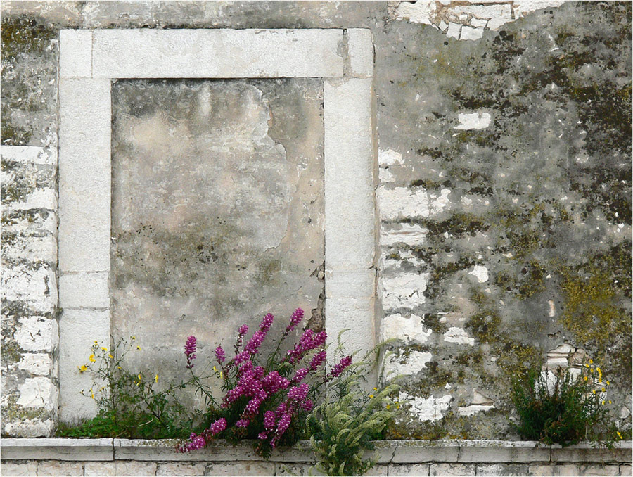 Mit Blumen vor dem Fenster ist es auch drinnen gleich viel gemütllicher