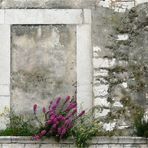 Mit Blumen vor dem Fenster ist es auch drinnen gleich viel gemütllicher