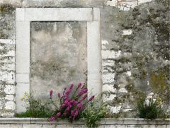 Mit Blumen vor dem Fenster ist es auch drinnen gleich viel gemütllicher