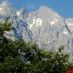 Mit Blumenblick zum Hohen Göll.