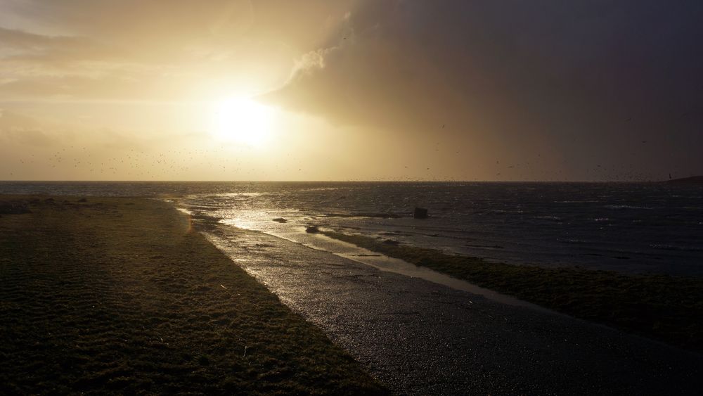 mit bock an die nordsee...