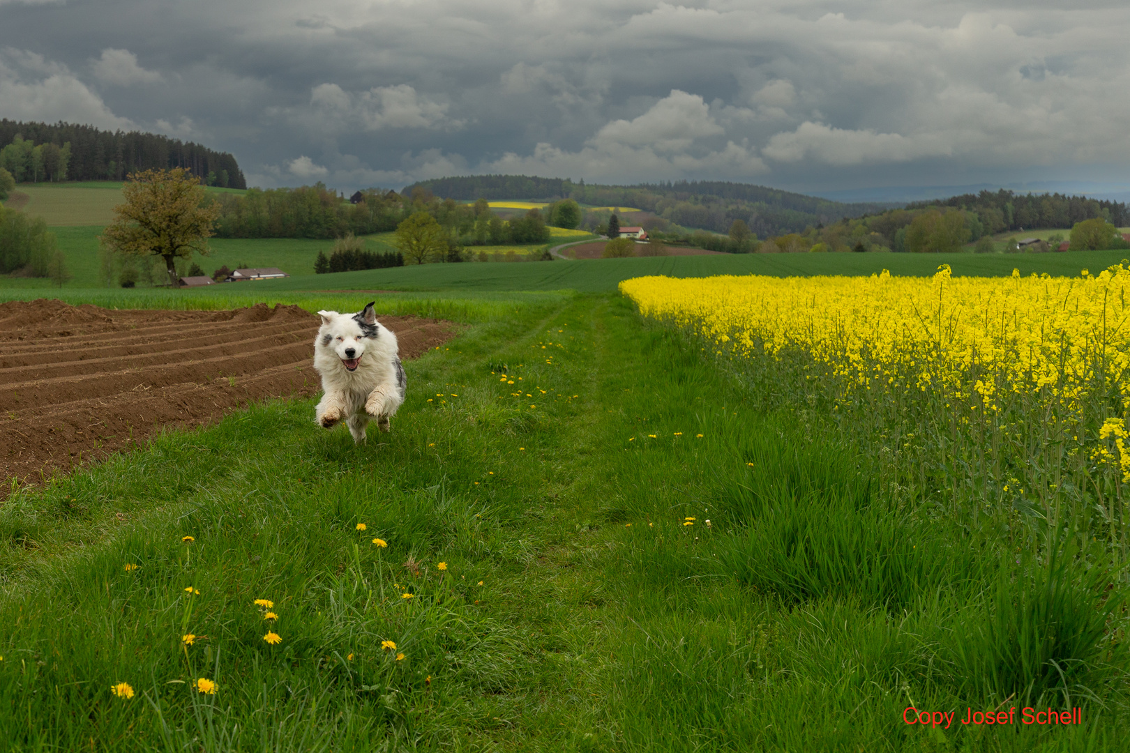 Mit Cooper unterwegs!!