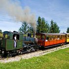 Mit Dampf auf die Rigi