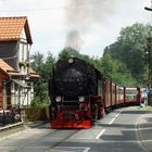 Mit Dampf durch Wernigerode