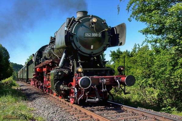 Mit Dampf ins Grüne