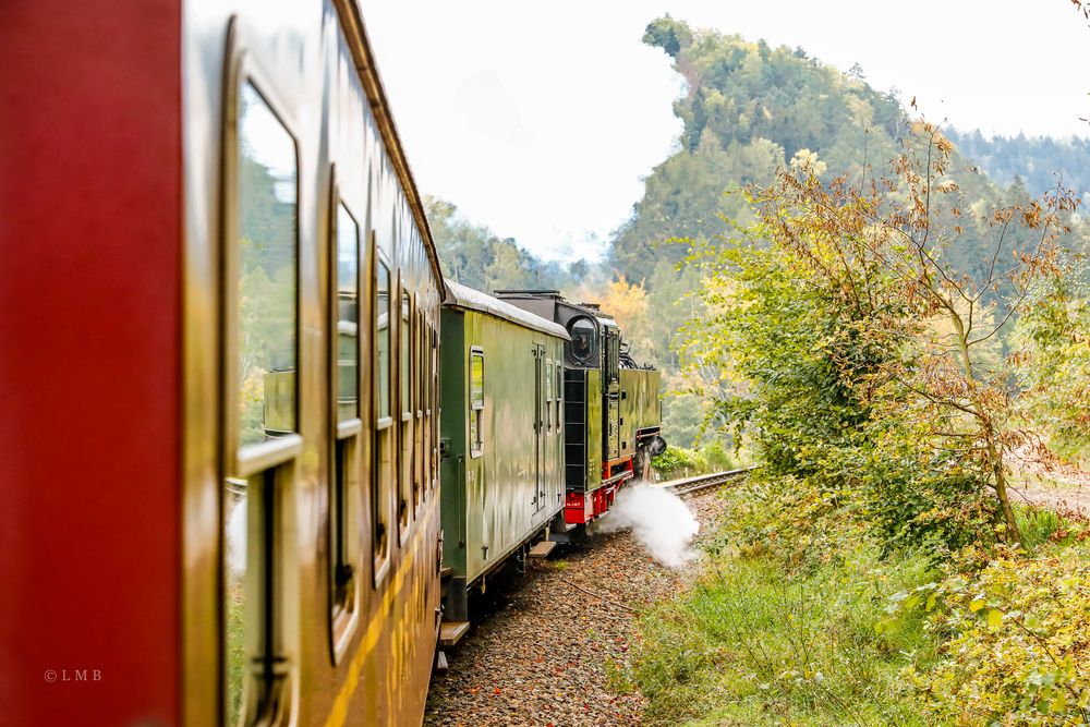 Mit Dampfpfiffen im Speisewagen