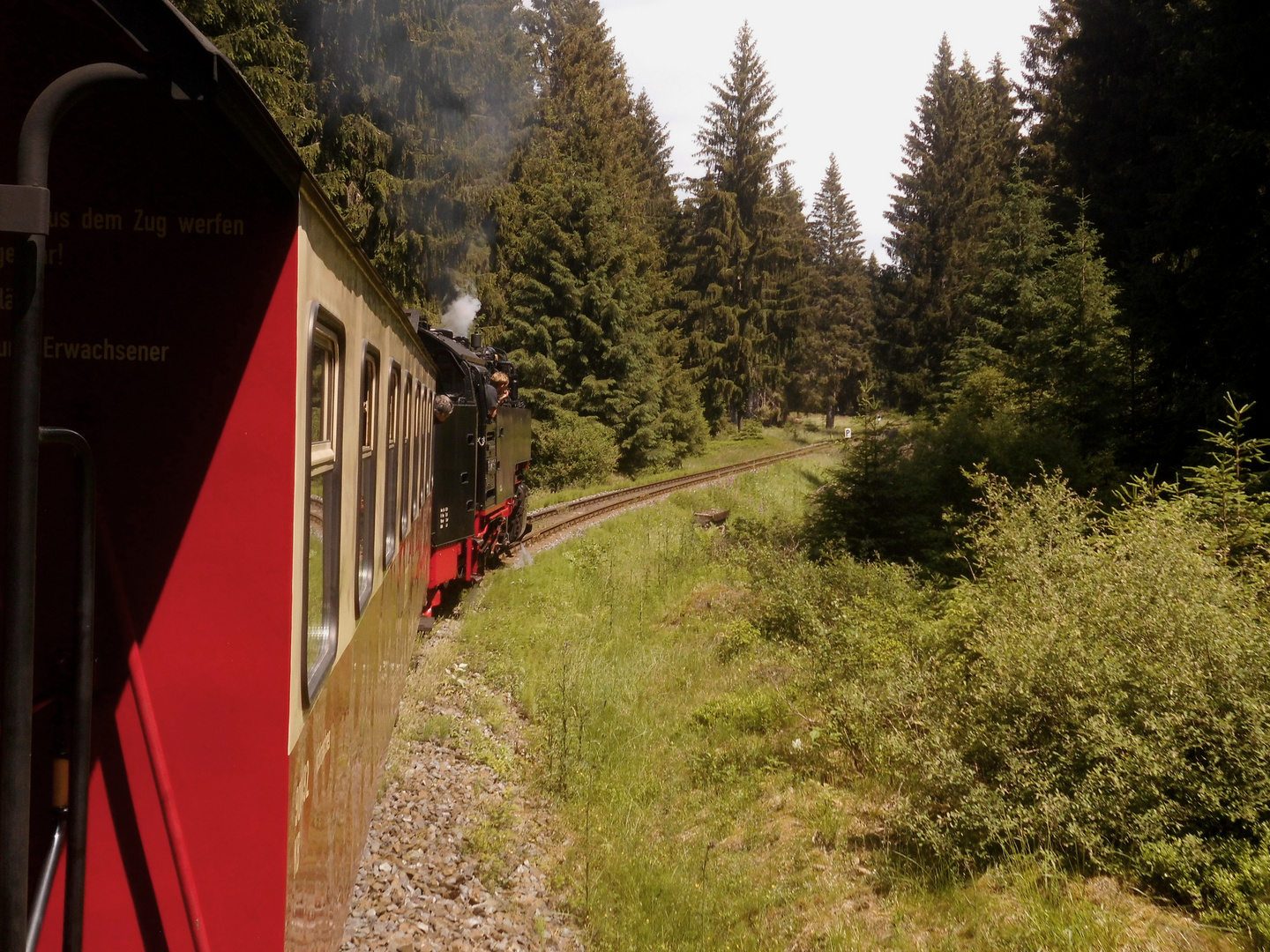 Mit Dampfzug und Triebwagen nach Wernigerode 2.