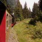 Mit Dampfzug und Triebwagen nach Wernigerode 2.