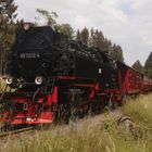 Mit Dampfzug und Triebwagen nach Wernigerode 3.