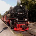 Mit Dampfzug und Triebwagen nach Wernigerode 8.