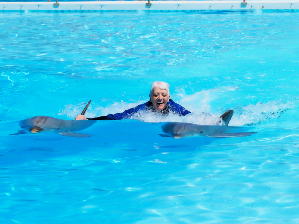 Mit Delfinen schwimmen