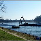 Mit dem Bagger auf dem Rhein