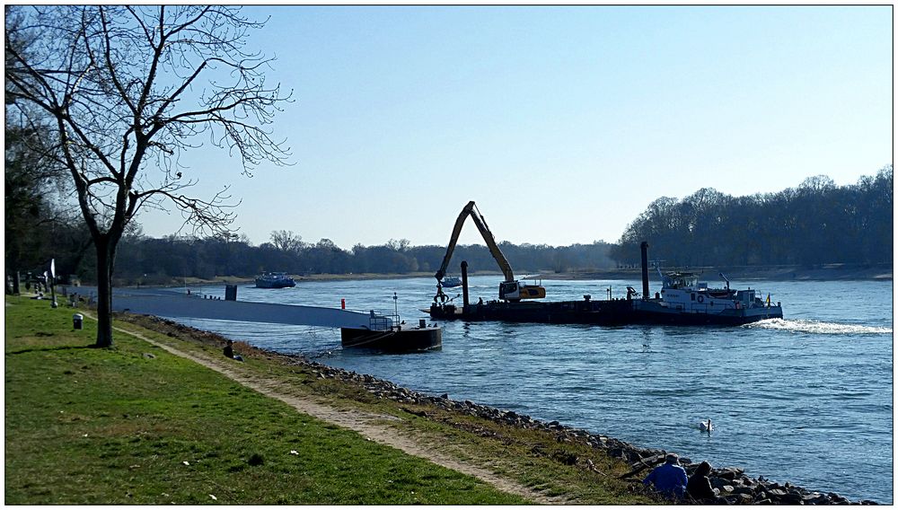 Mit dem Bagger auf dem Rhein