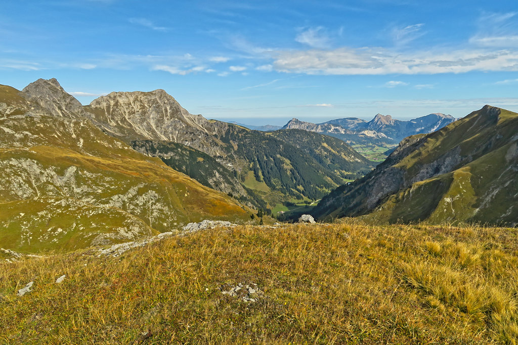 Mit dem Blick nach Deutschland