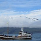 Mit dem Boot vor Husavik