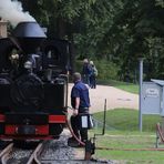 Mit dem Deutschland-Ticket zur Waldeisenbahn Muskau