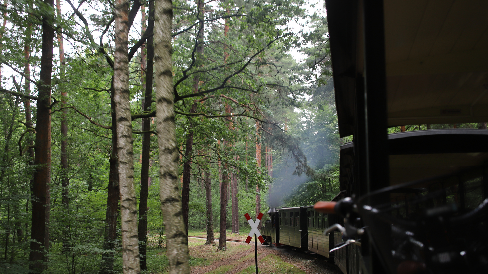 Mit dem Deutschland-Ticket zur Waldeisenbahn Muskau