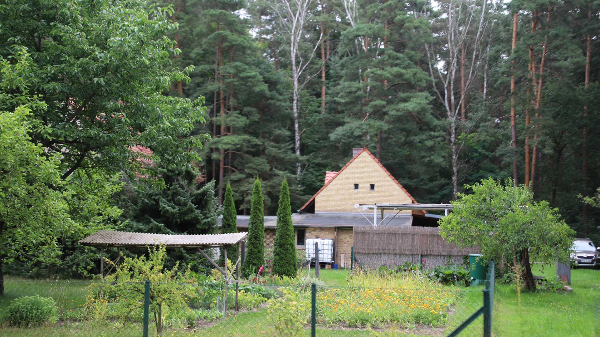 Mit dem Deutschland-Ticket zur Waldeisenbahn Muskau