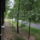 Mit dem Deutschland-Ticket zur Waldeisenbahn Muskau