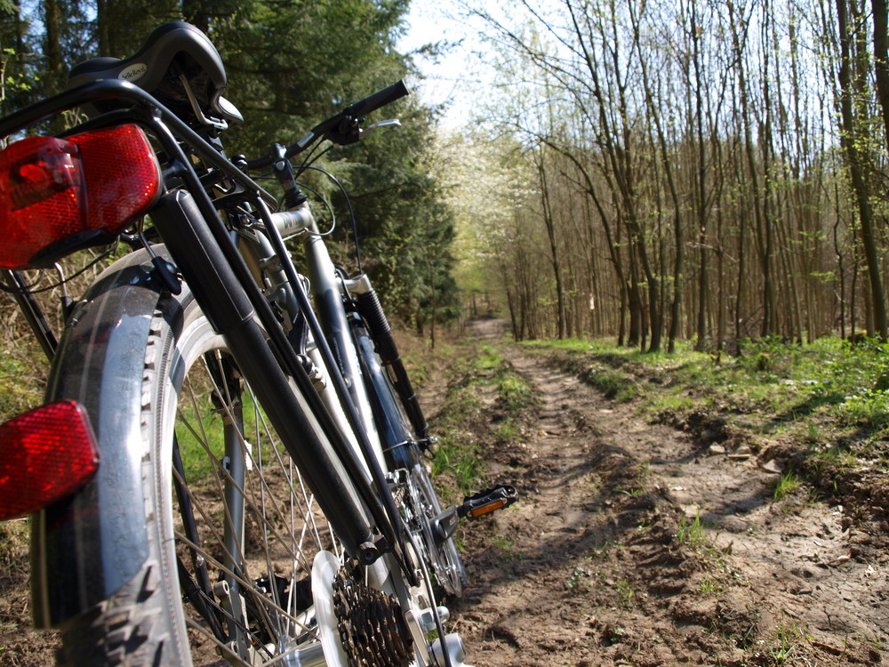 Mit dem Drahtesel durch den Wald