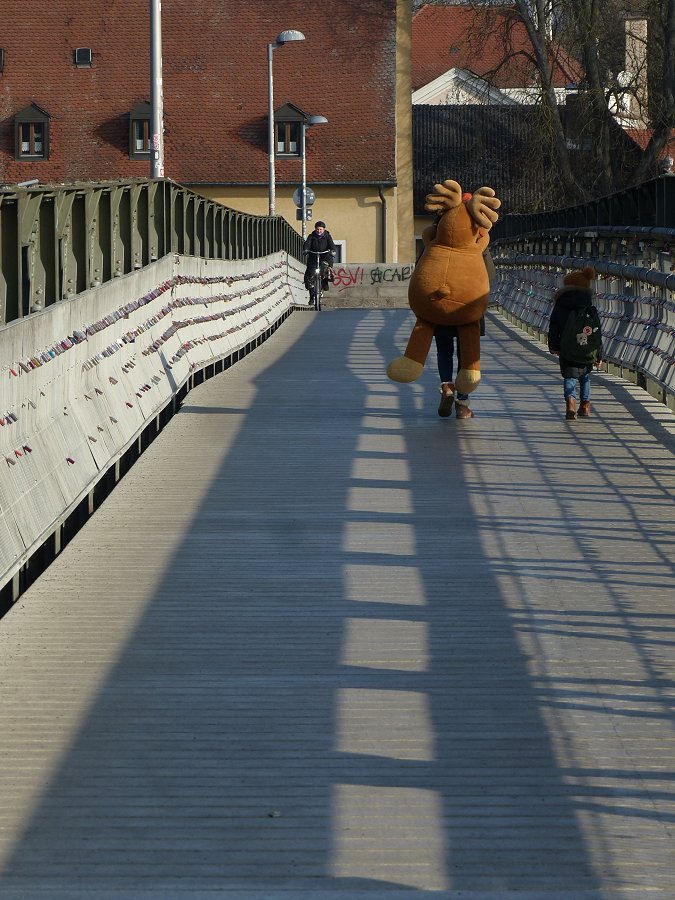 Mit dem Elch den Wolf laufen