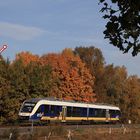 Mit dem erixx-Triebwagen von Buchholz über die herbstliche Heidebahn nach Hannover.